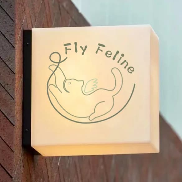 Fly Feline Yoga & Pilates