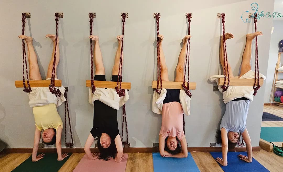 Life Ca-Dio Yoga Studio photo 3
