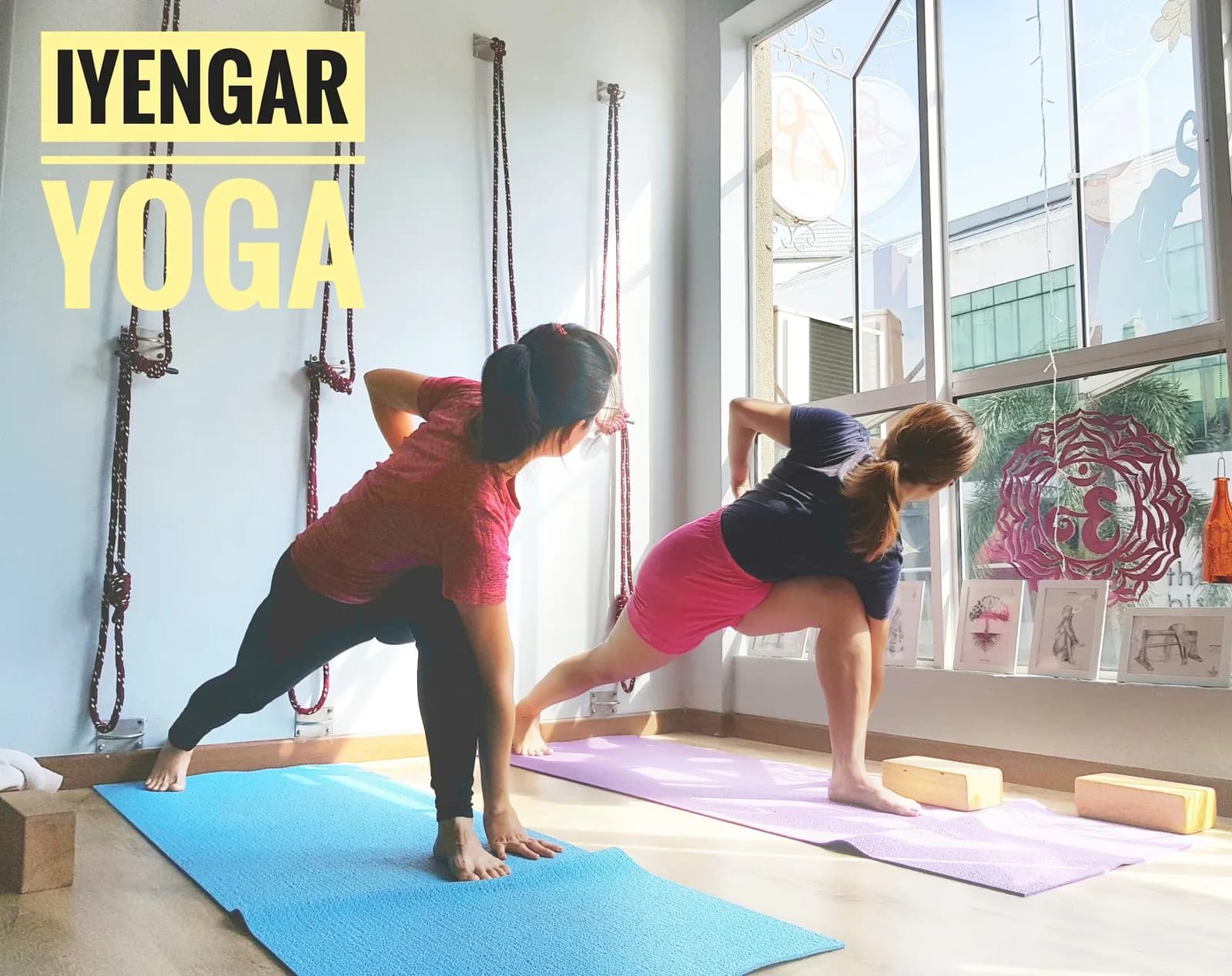 Life Ca-Dio Yoga Studio